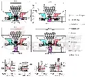 DIAGRAM.webp